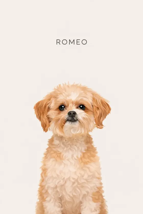 Romeo