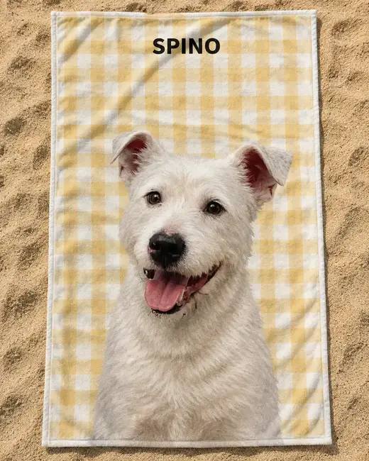 Telo Mare