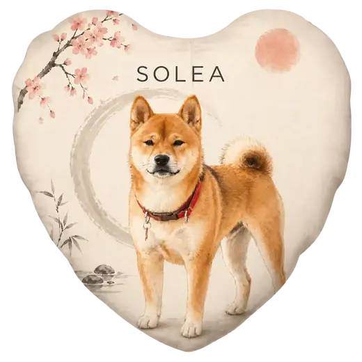 Cuscino cuore