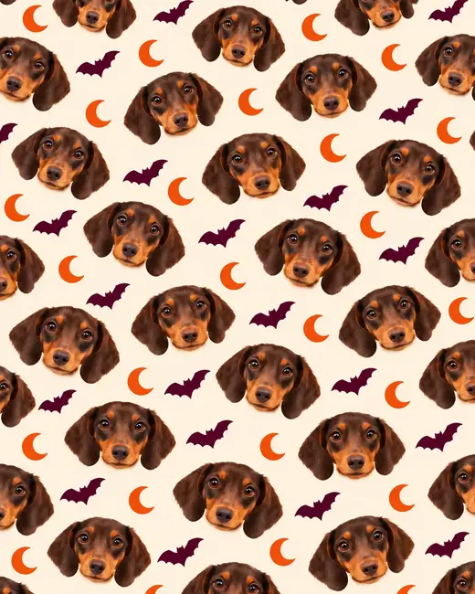Halloween Texture